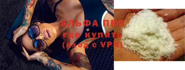 стаф Балахна