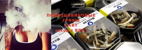 стаф Балахна