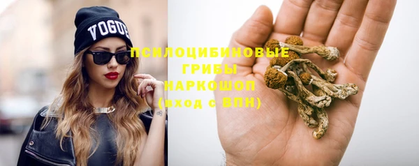 стаф Балахна
