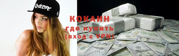 стаф Балахна