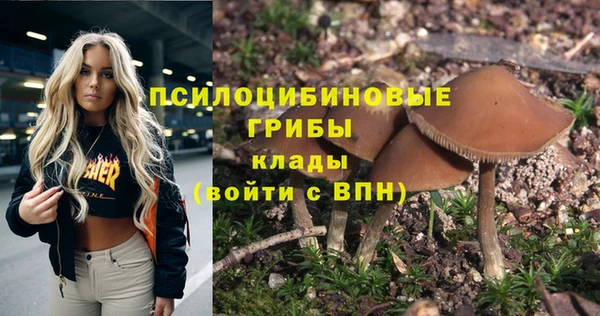мет Баксан