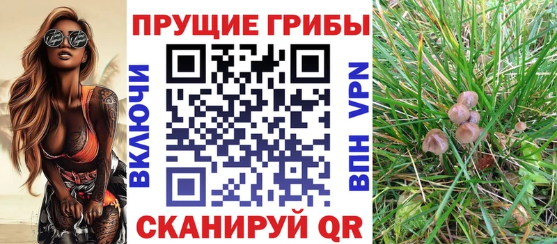 МЕГА ссылки  купить   Карабулак  Псилоцибиновые грибы ЛСД 